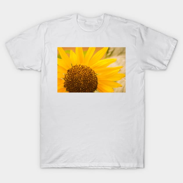 Morning Sunflower T-Shirt by srosu